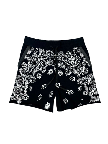 Amiri shorts - CHIC TREAD